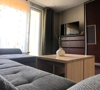 Апартаменты Jūsų apartamentai prie jūros Паланга Апартаменты с 1 спальней-32